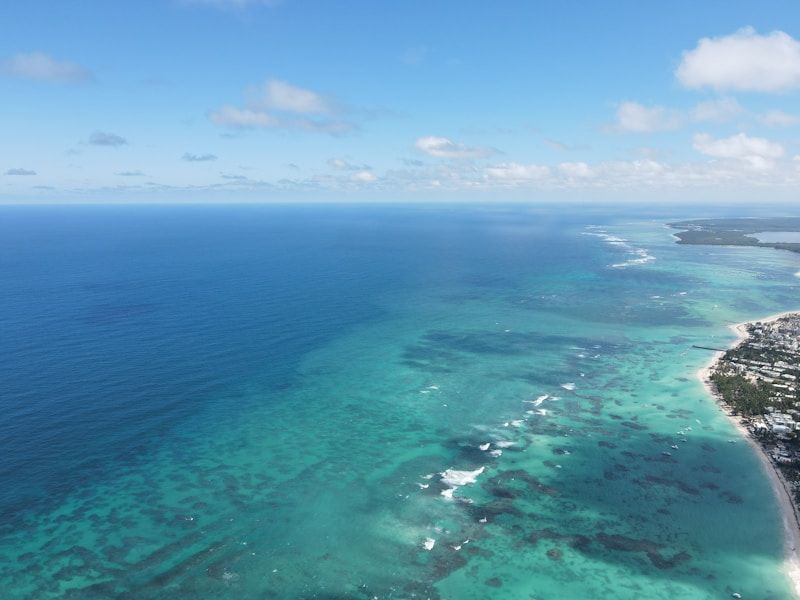 playa bavaro oferta hotel todo incluido